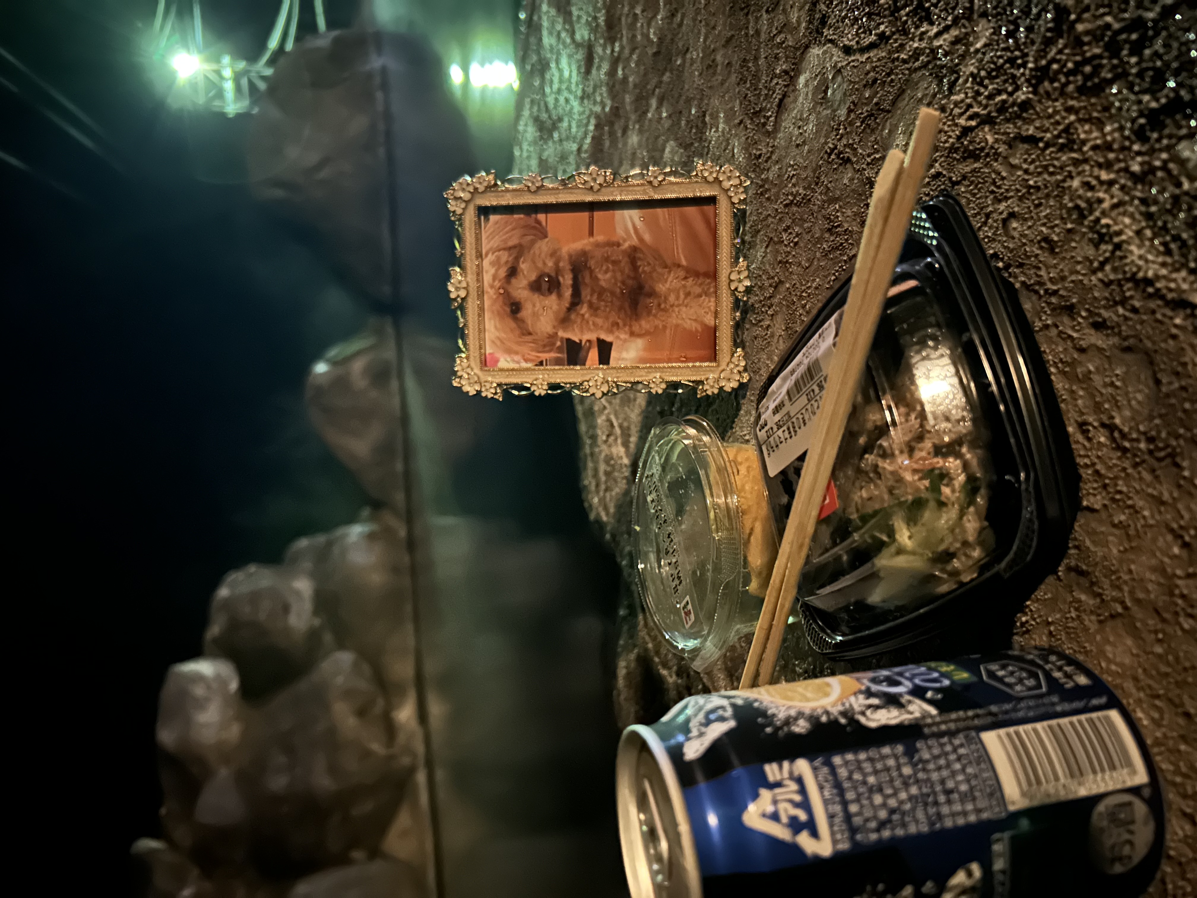 露天風呂の岩場に置いたバリーちゃんの写真と、雪見酒